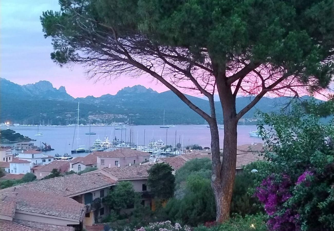 Appartamento a Porto Rotondo - BRORENT-S' Abba e Su Portu