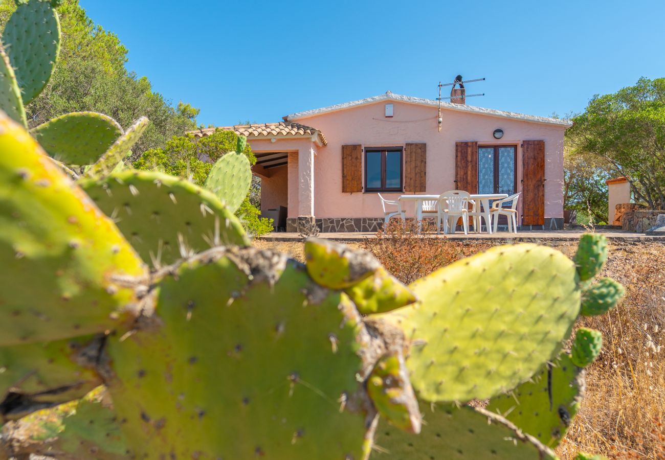 Casa a Olbia - casa istana