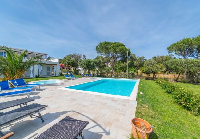 Apartment in Porto Rotondo - BRORENT-Villa Tonia (appartamento in villa)