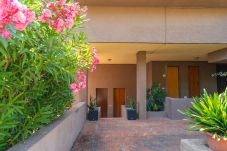 Apartment in Porto Rotondo - Casa Giada (Monolocale)